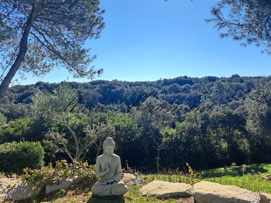 maison 12 pièces en vente sur NIMES (30000)