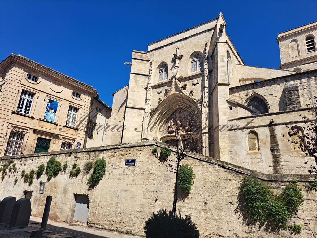 appartement 6 pièces en vente sur AVIGNON (84000)