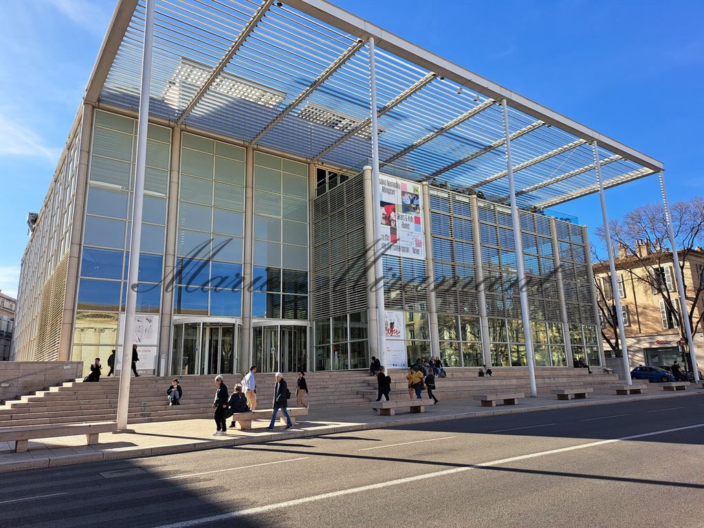hôtel particulier 20 pièces en vente sur NIMES (30000)