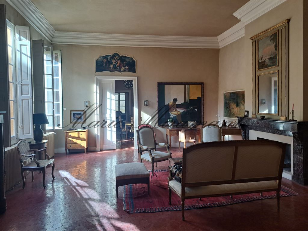 hôtel particulier 17 pièces en vente sur AVIGNON (84000)