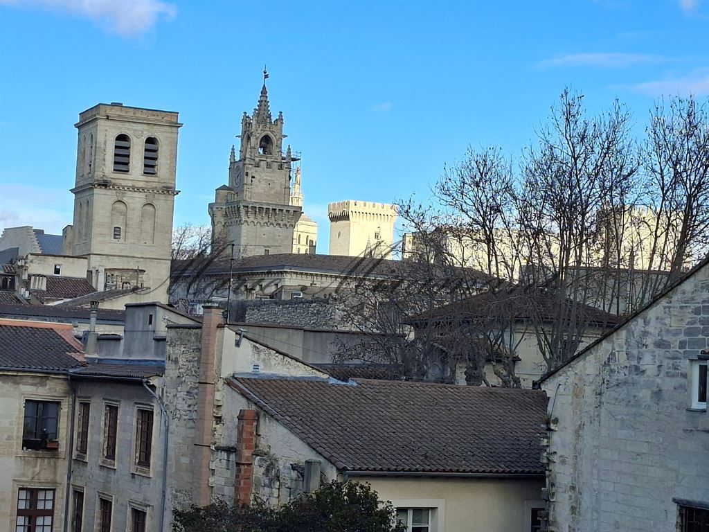 maison 15 pièces en vente sur AVIGNON (84000)