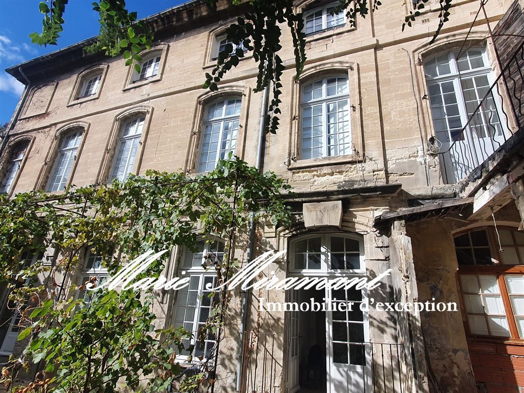 hôtel particulier 30 pièces en vente sur AVIGNON (84000)