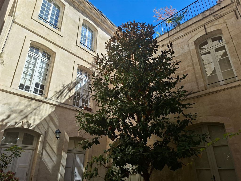 appartement 6 pièces en vente sur AVIGNON (84000)
