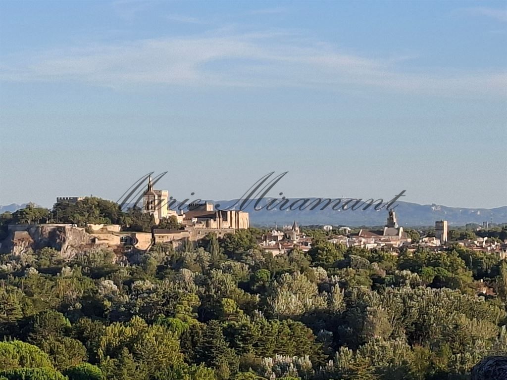 immeuble en vente sur AVIGNON (84000)