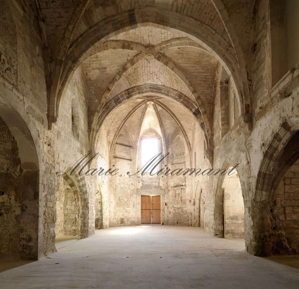 house 15 rooms for sale on AVIGNON (84000)