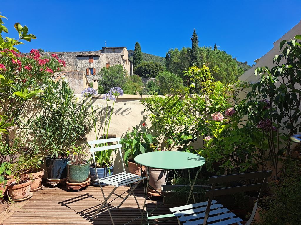 hôtel particulier 15 pièces en vente sur VAISON LA ROMAINE (84110)